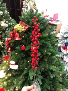 Cành trái đỏ -  khoảng 10-12 nhánh nhỏ