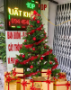 Cây Thông Noel 1m5